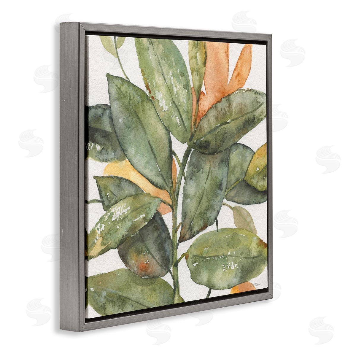 Carol Robinson Botanical Leaves Watercolor Plant Gray Floating Frame Canvas Wall Art Print