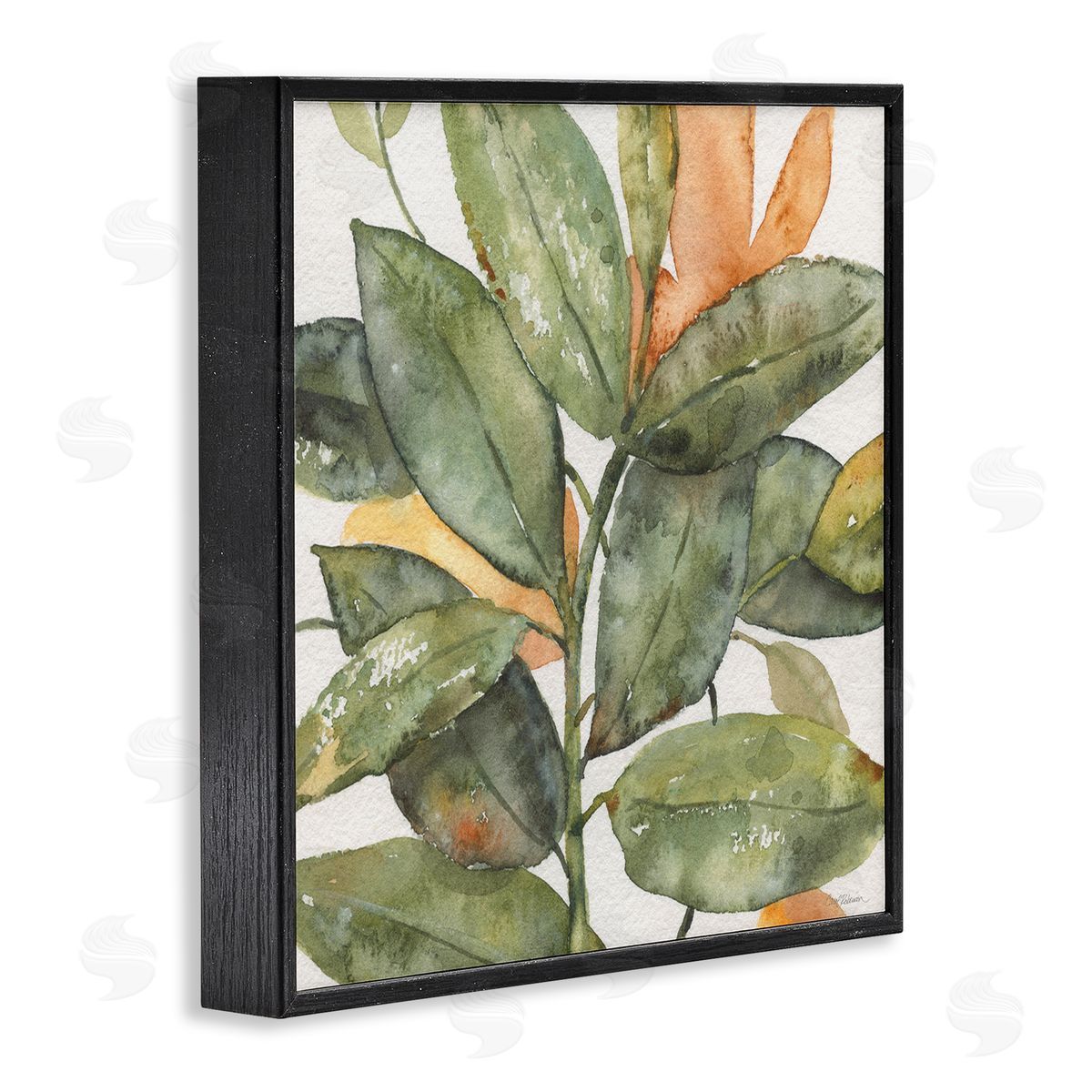Carol Robinson Botanical Leaves Watercolor Plant Black Framed Glicee Wall Art Print