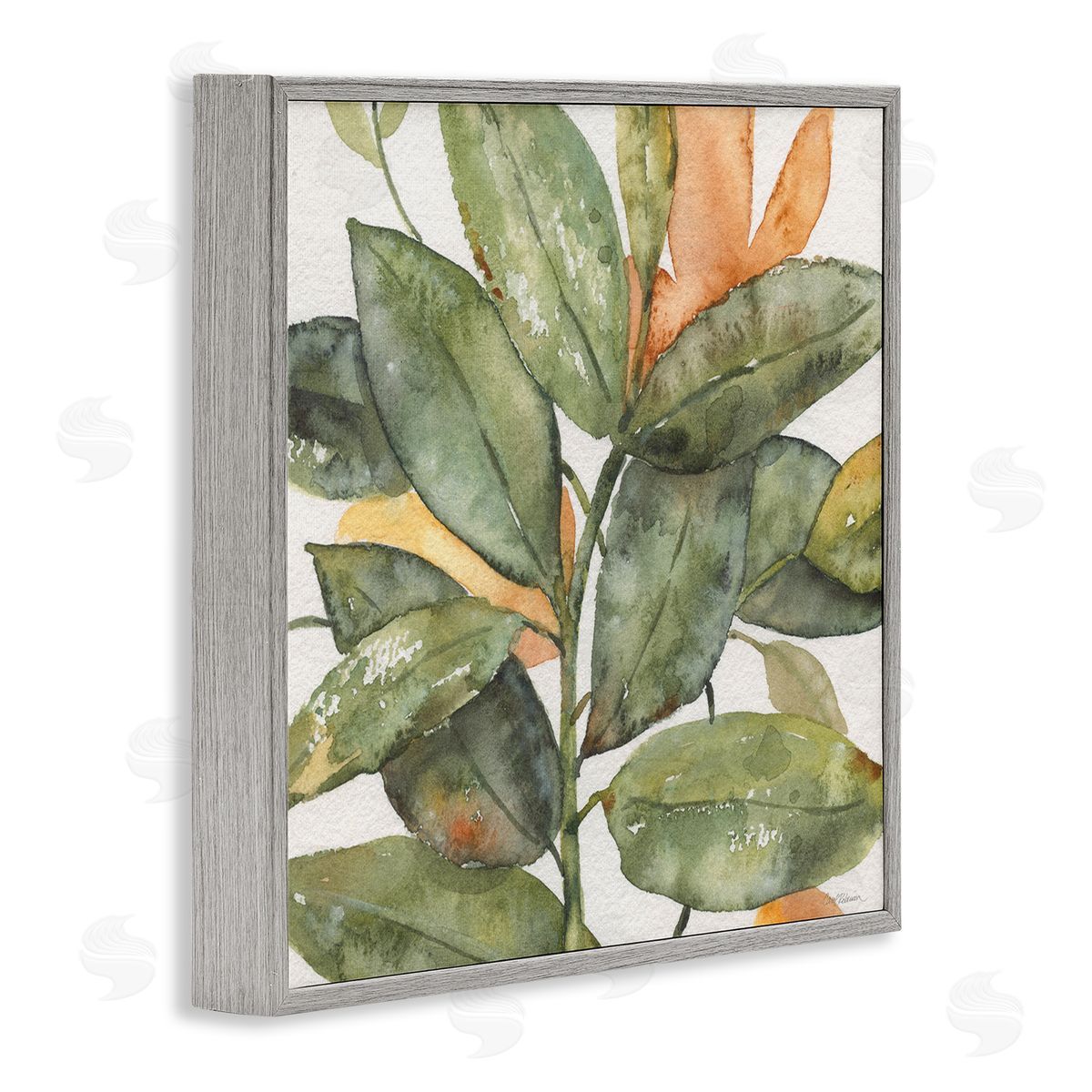 Carol Robinson Botanical Leaves Watercolor Plant Gray Framed Glicee Wall Art Print