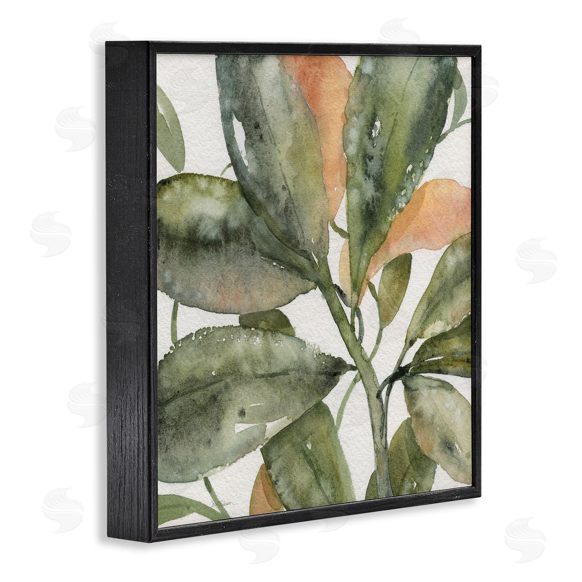 Carol Robinson Bird Of Paradise Plant Leaves Black Framed Glicee Wall Art Print