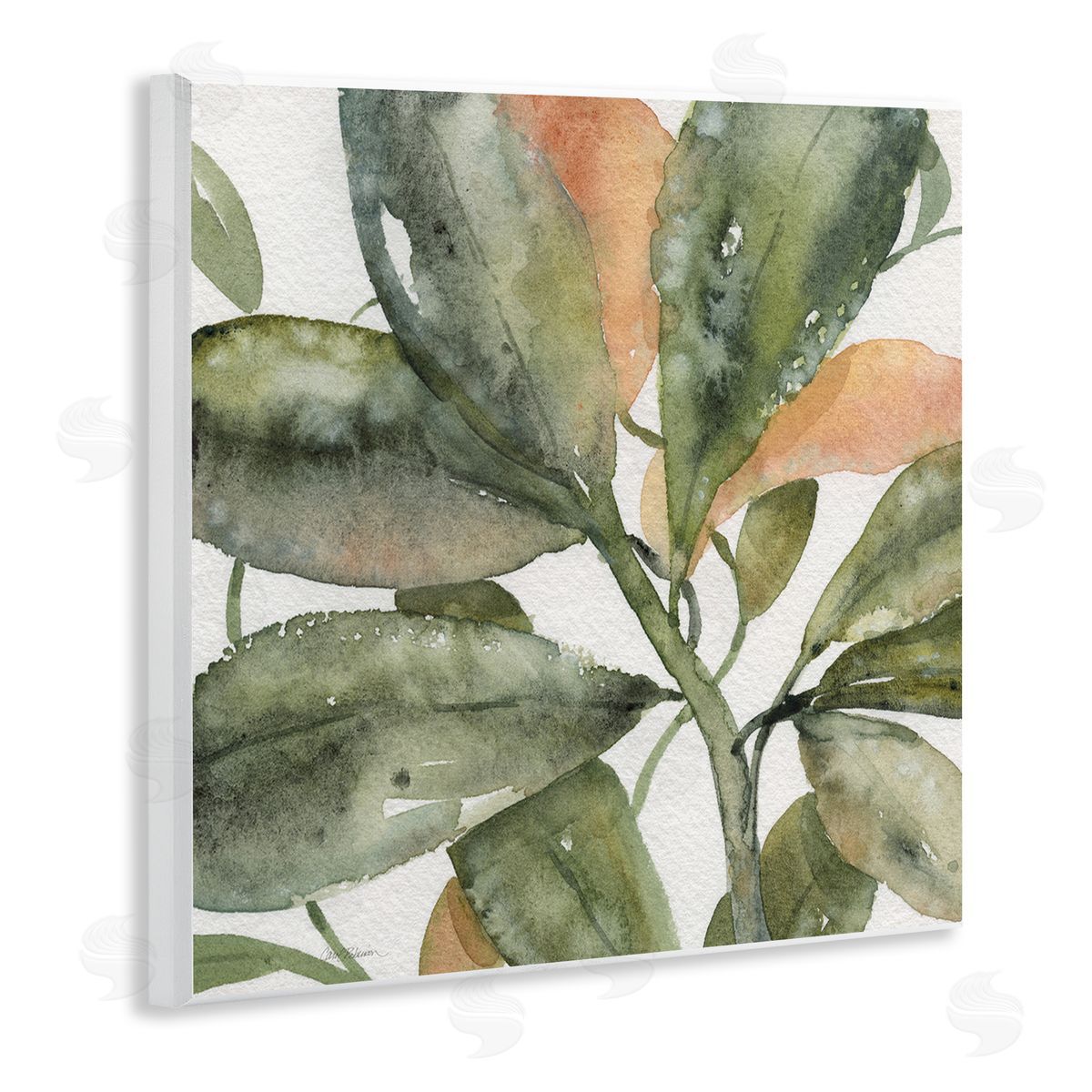 Carol Robinson Bird Of Paradise Plant Leaves Wooden Wall Plaque Art Print