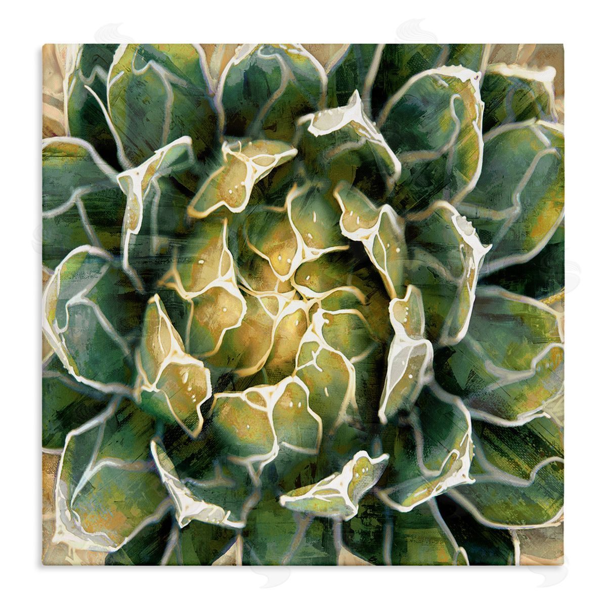 Lindsay Benson Leafy Succulent Plant Nature Stretched Canvas Wall Art Print