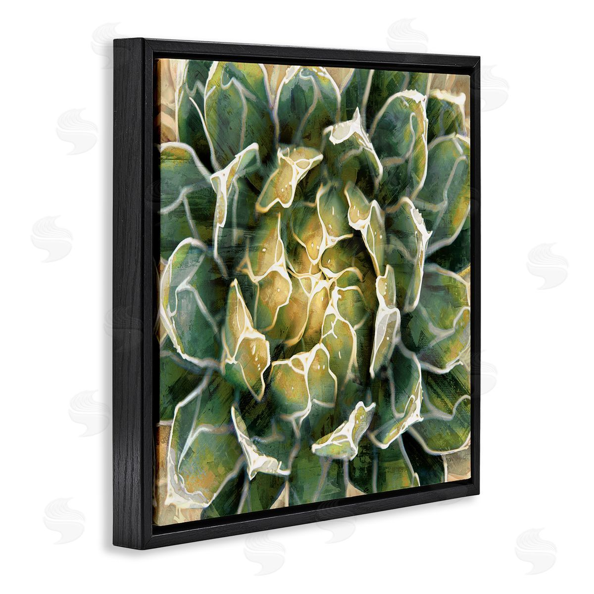 Lindsay Benson Leafy Succulent Plant Nature Black Floating Frame Canvas Wall Art Print