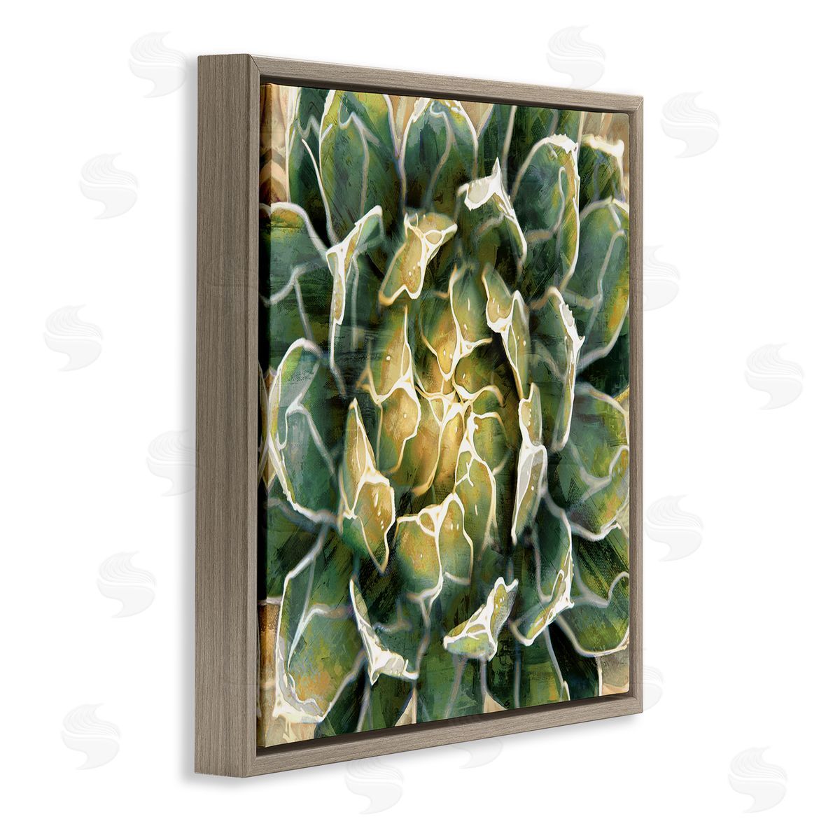 Lindsay Benson Leafy Succulent Plant Nature Brown Floating Frame Canvas Wall Art Print
