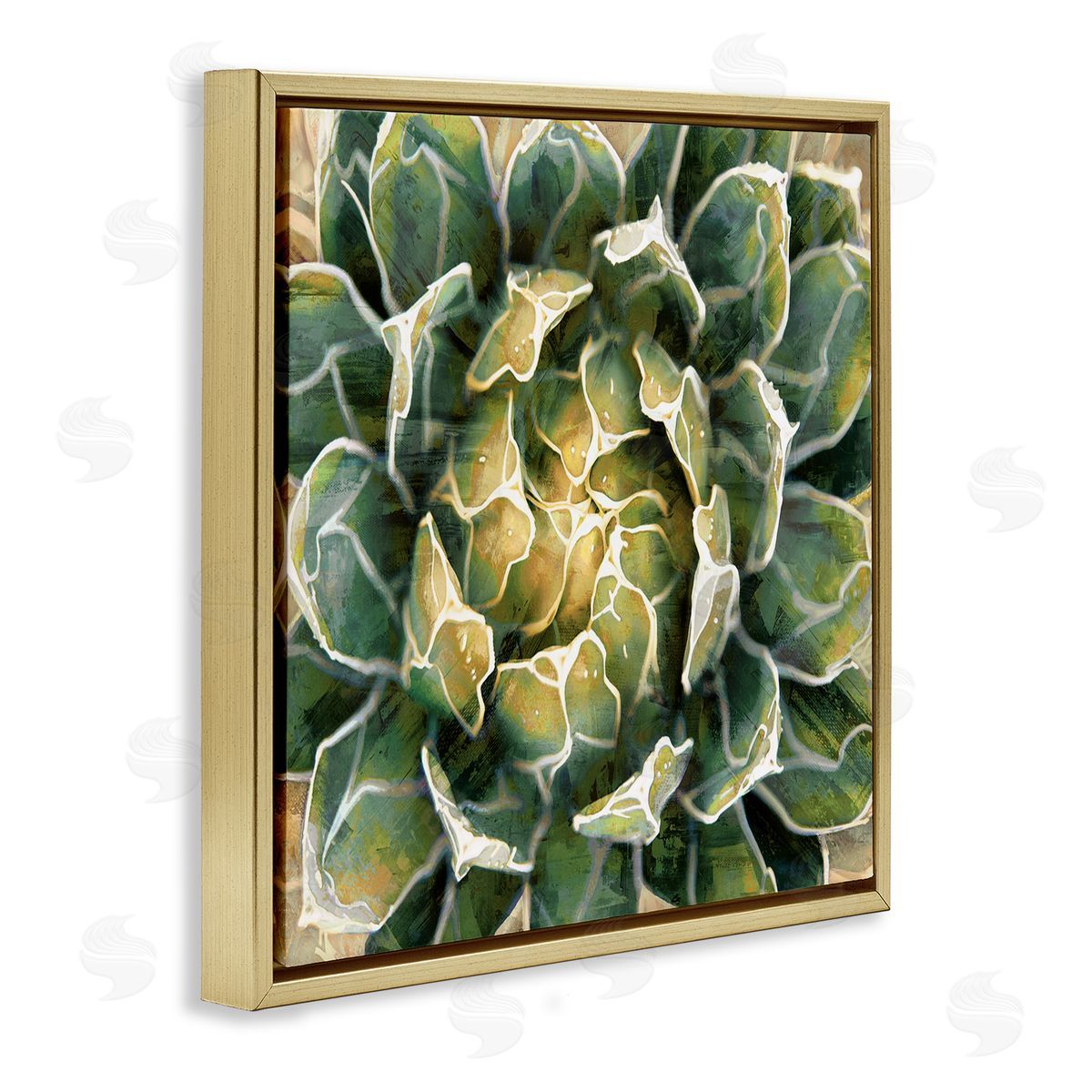 Lindsay Benson Leafy Succulent Plant Nature Gold Floating Frame Canvas Wall Art Print