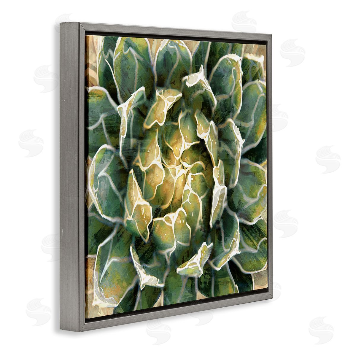 Lindsay Benson Leafy Succulent Plant Nature Gray Floating Frame Canvas Wall Art Print