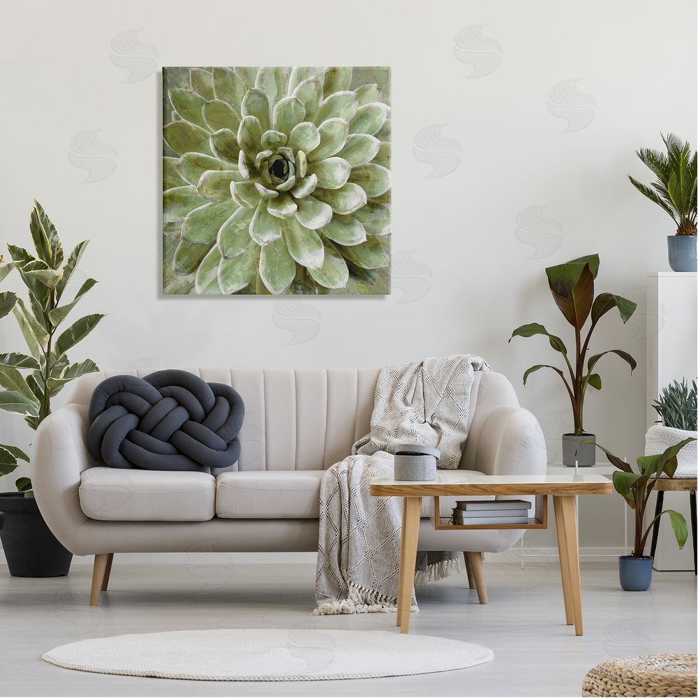 Lindsay Benson Succulent Plant Abstract View Canvas Wall Art in Room