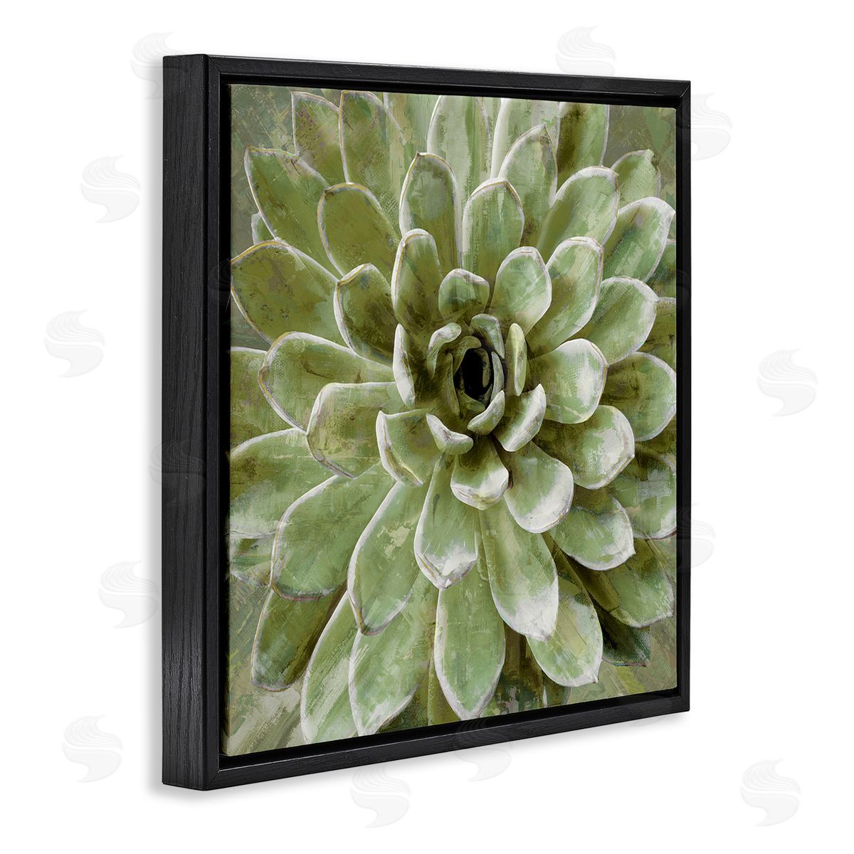 Lindsay Benson Succulent Plant Abstract View Black Floating Frame Canvas Wall Art Print