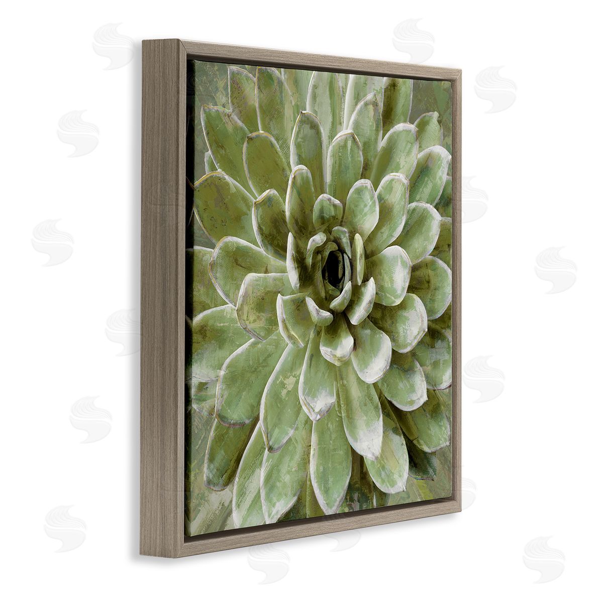 Lindsay Benson Succulent Plant Abstract View Brown Floating Frame Canvas Wall Art Print