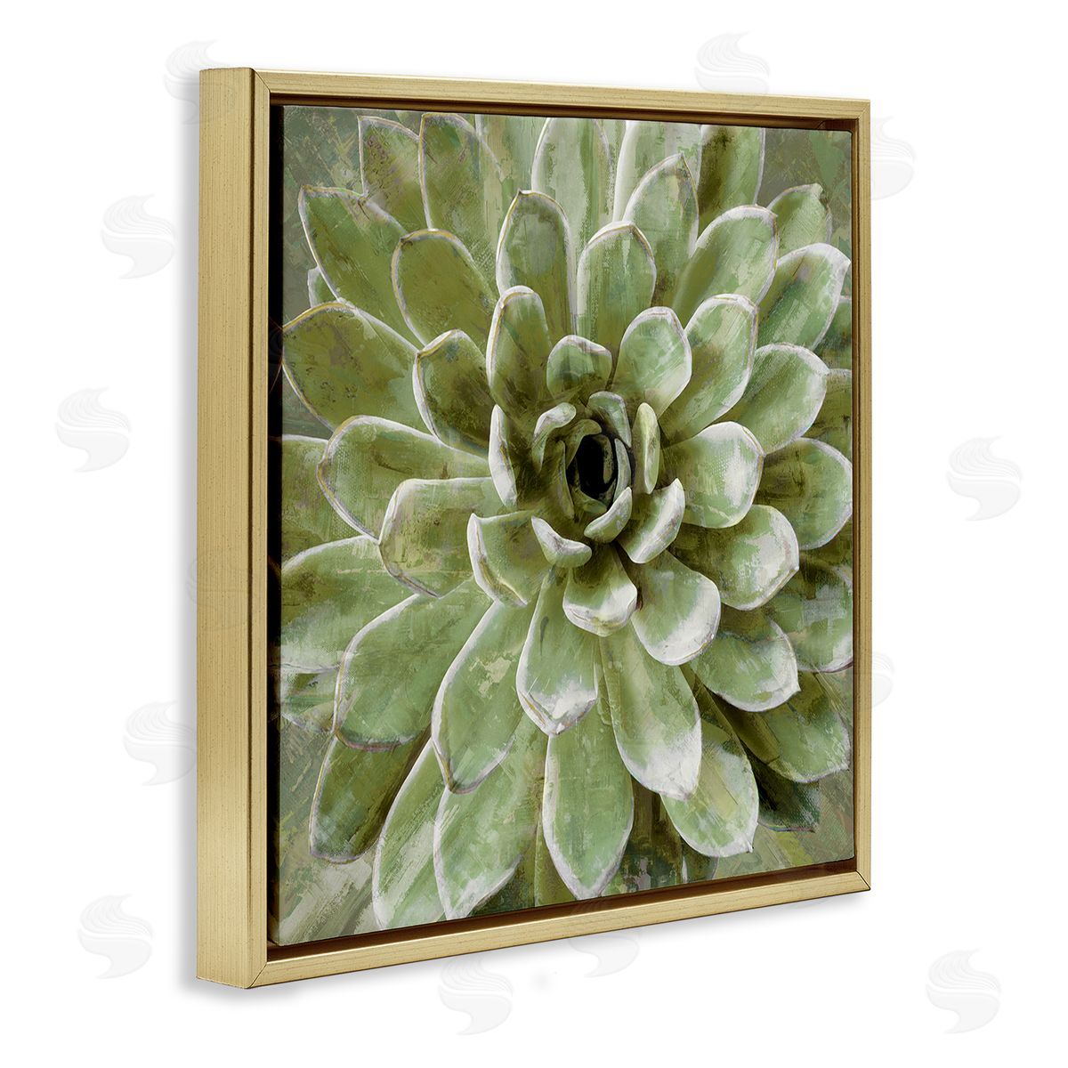 Lindsay Benson Succulent Plant Abstract View Gold Floating Frame Canvas Wall Art Print