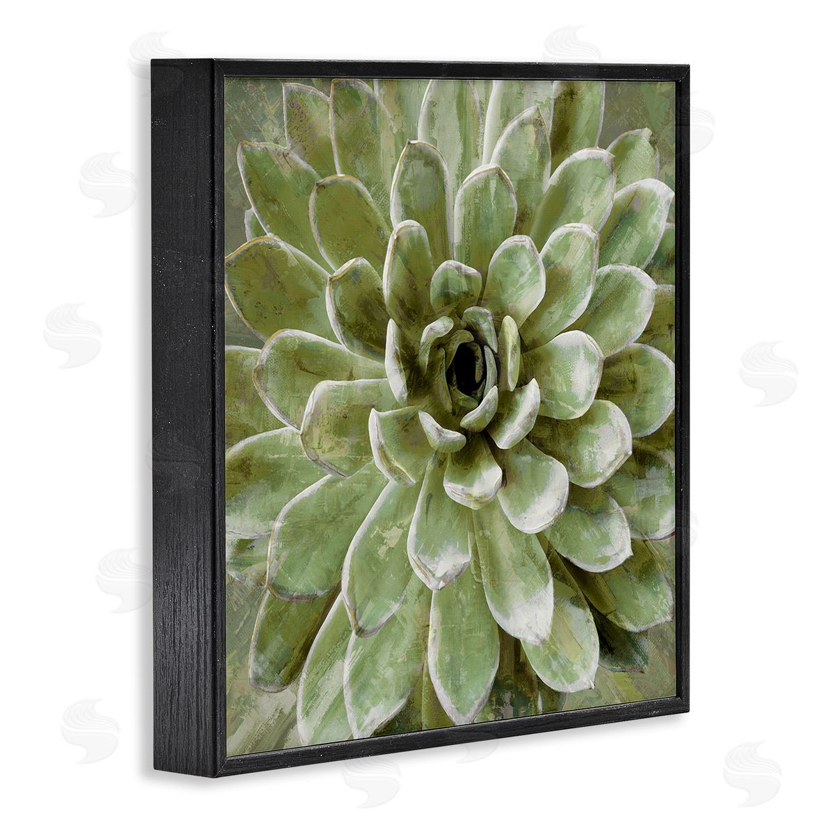 Lindsay Benson Succulent Plant Abstract View Black Framed Glicee Wall Art Print