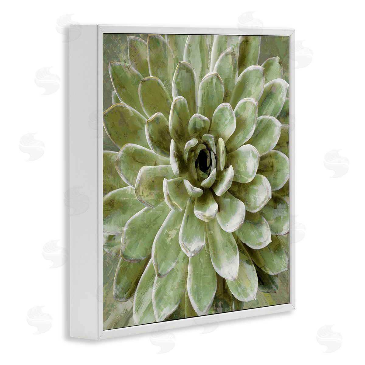 Lindsay Benson Succulent Plant Abstract View White Framed Glicee Wall Art Print