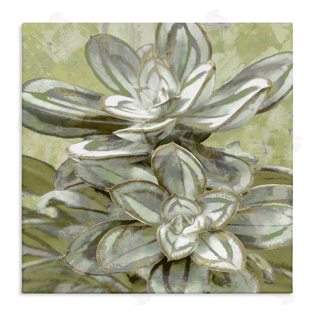 Lindsay Benson Succulent Plant Leaves Blooming Stretched Canvas Wall Art Print