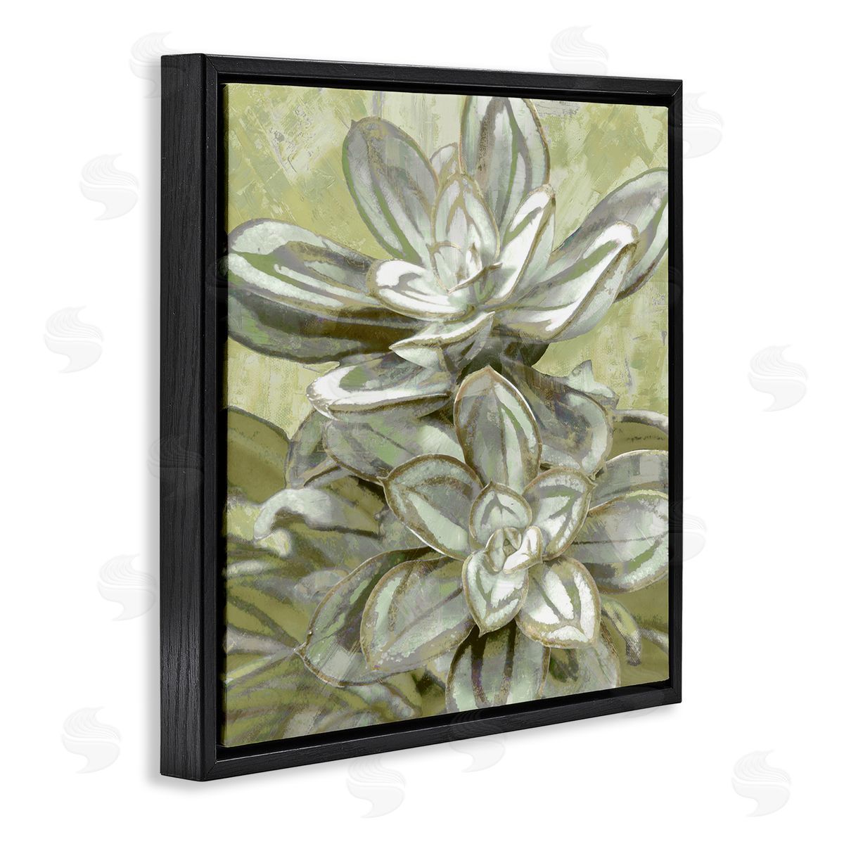 Lindsay Benson Succulent Plant Leaves Blooming Black Floating Frame Canvas Wall Art Print