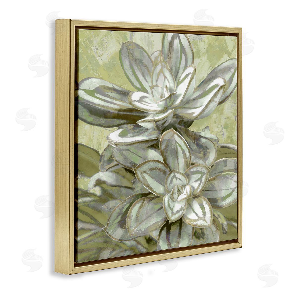 Lindsay Benson Succulent Plant Leaves Blooming Gold Floating Frame Canvas Wall Art Print
