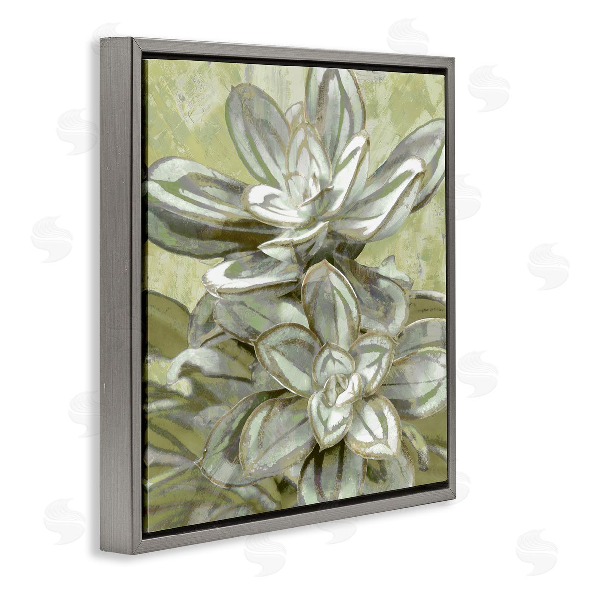 Lindsay Benson Succulent Plant Leaves Blooming Gray Floating Frame Canvas Wall Art Print
