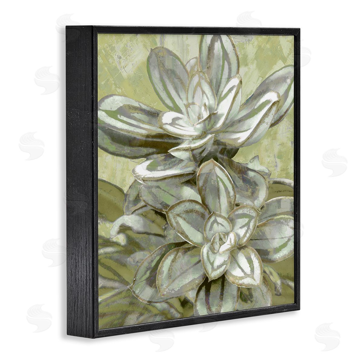 Lindsay Benson Succulent Plant Leaves Blooming Black Framed Glicee Wall Art Print