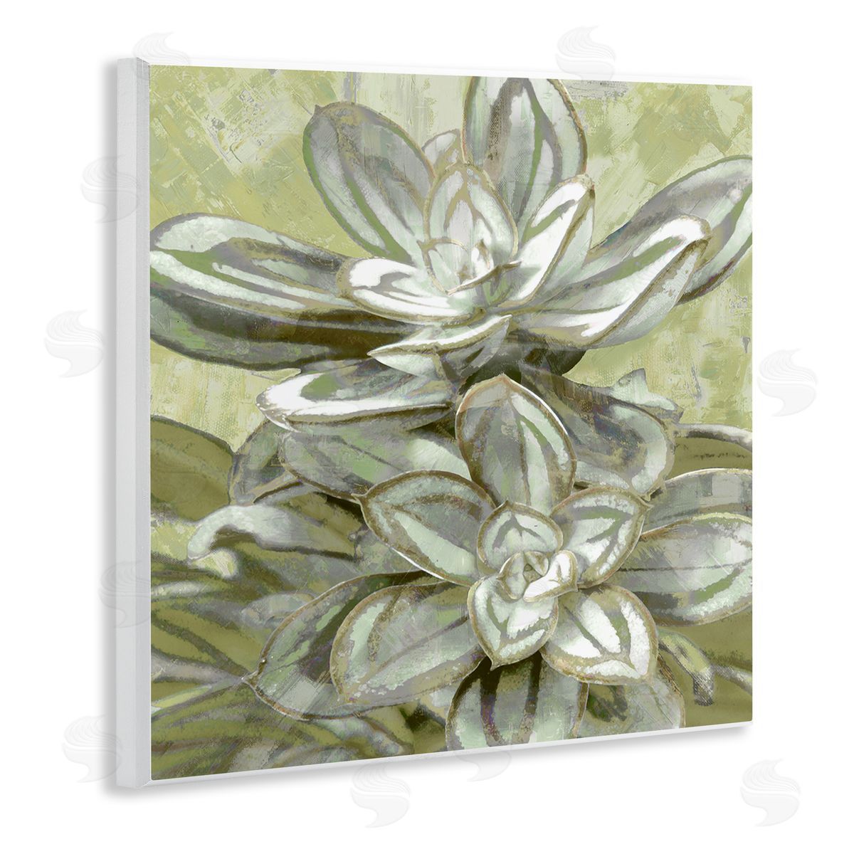 Lindsay Benson Succulent Plant Leaves Blooming Wooden Wall Plaque Art Print