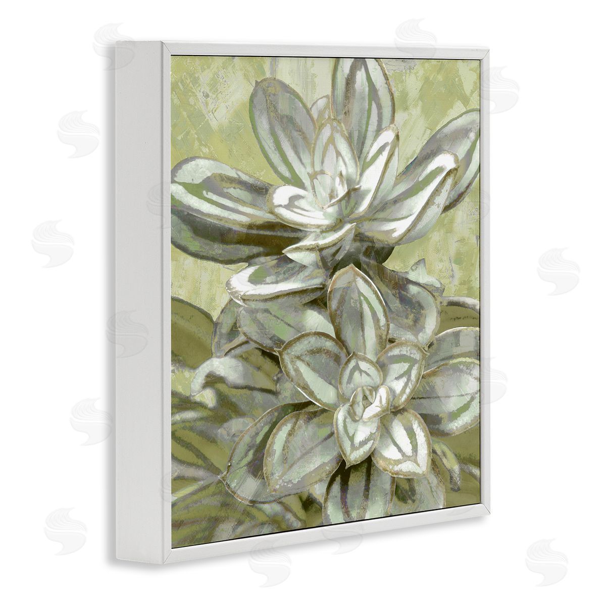 Lindsay Benson Succulent Plant Leaves Blooming White Framed Glicee Wall Art Print