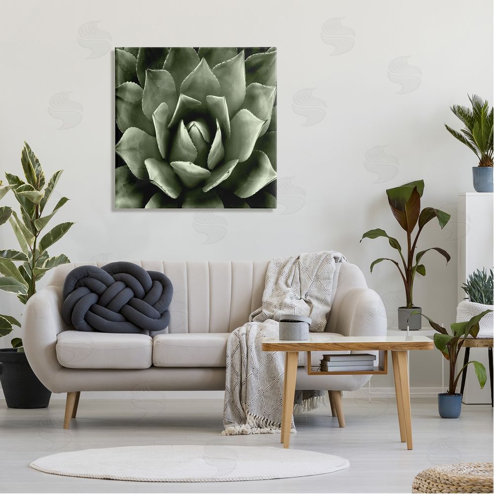 Lindsay Benson Succulent Plant Close Up View Canvas Wall Art in Room