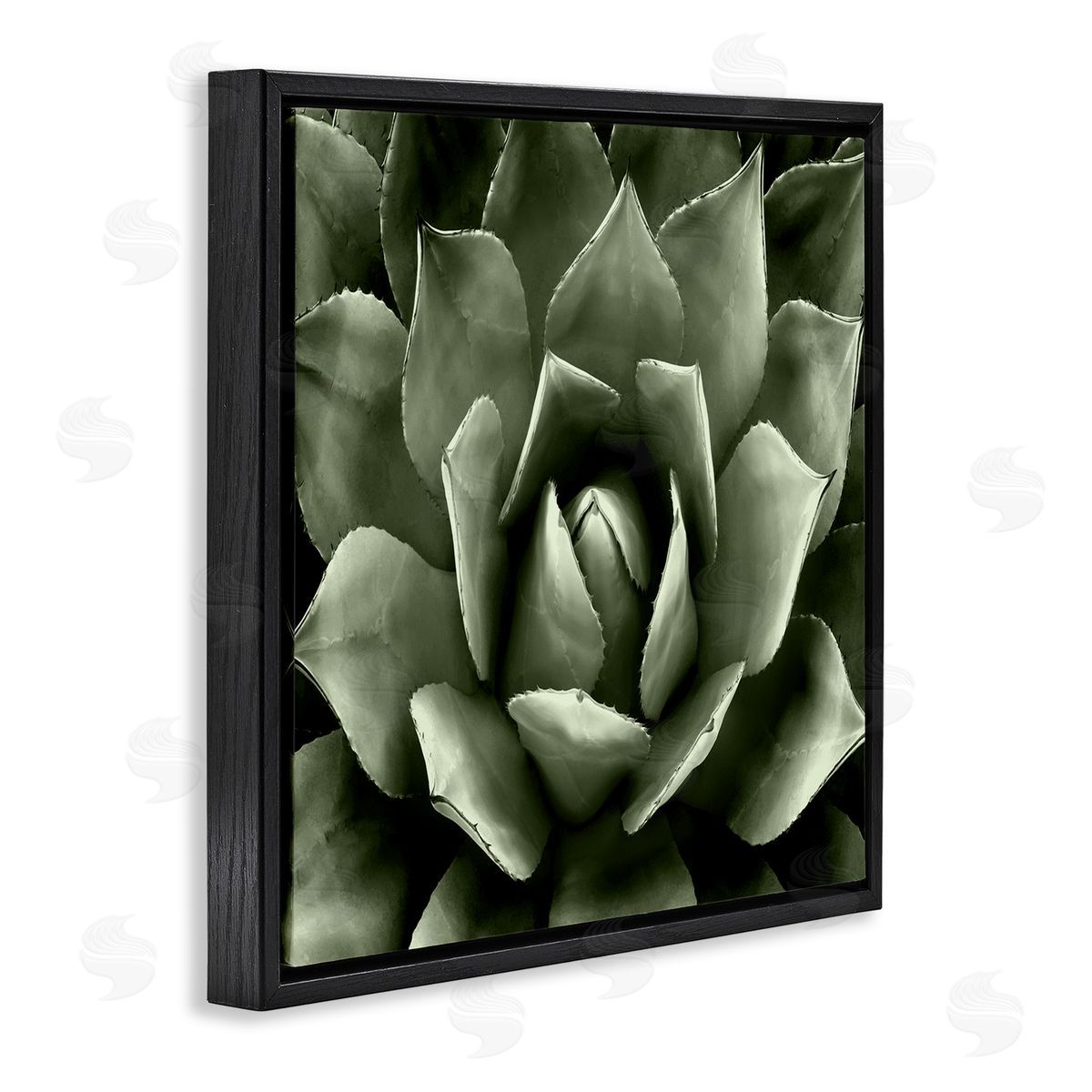 Lindsay Benson Succulent Plant Close Up View Black Floating Frame Canvas Wall Art Print