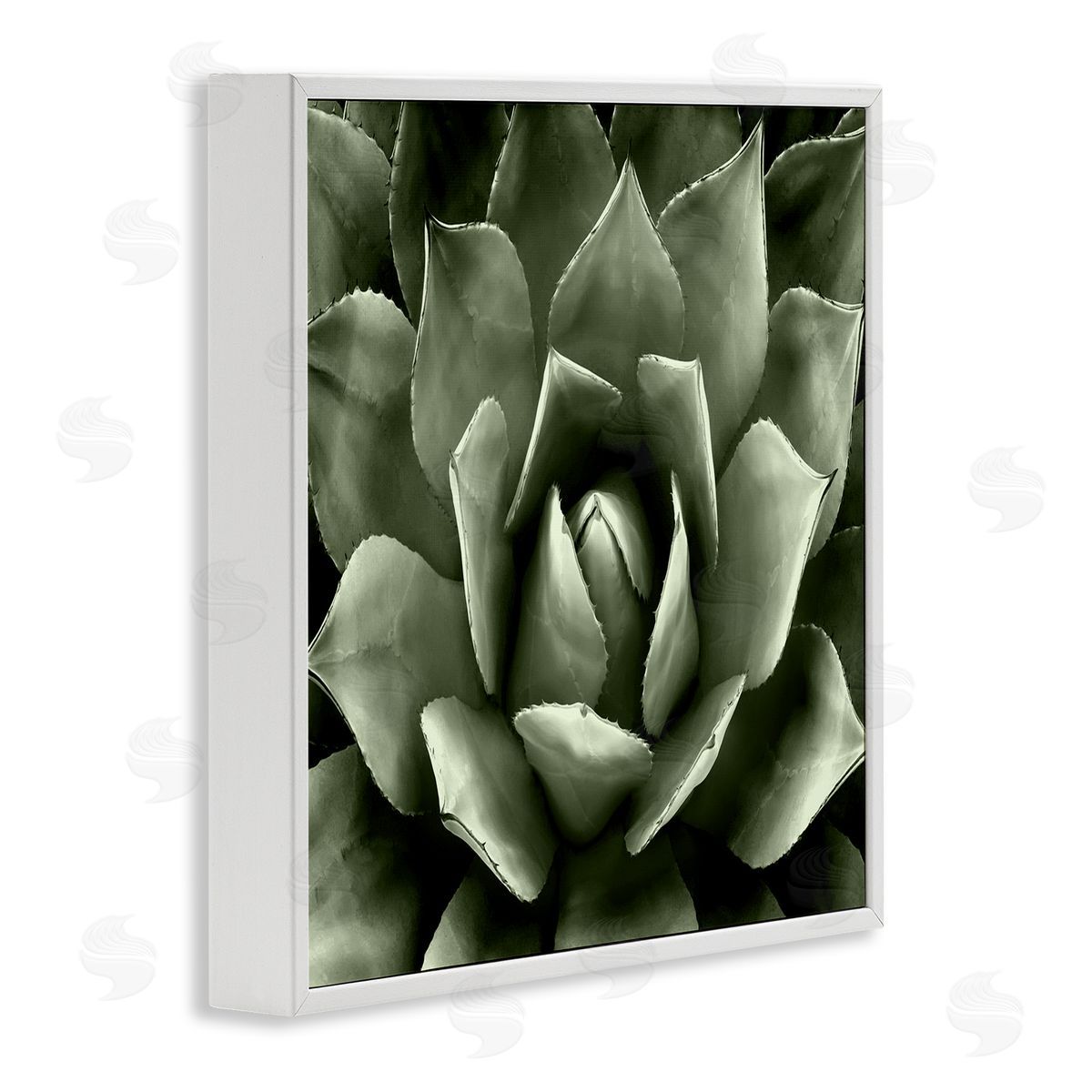 Lindsay Benson Succulent Plant Close Up View White Framed Glicee Wall Art Print