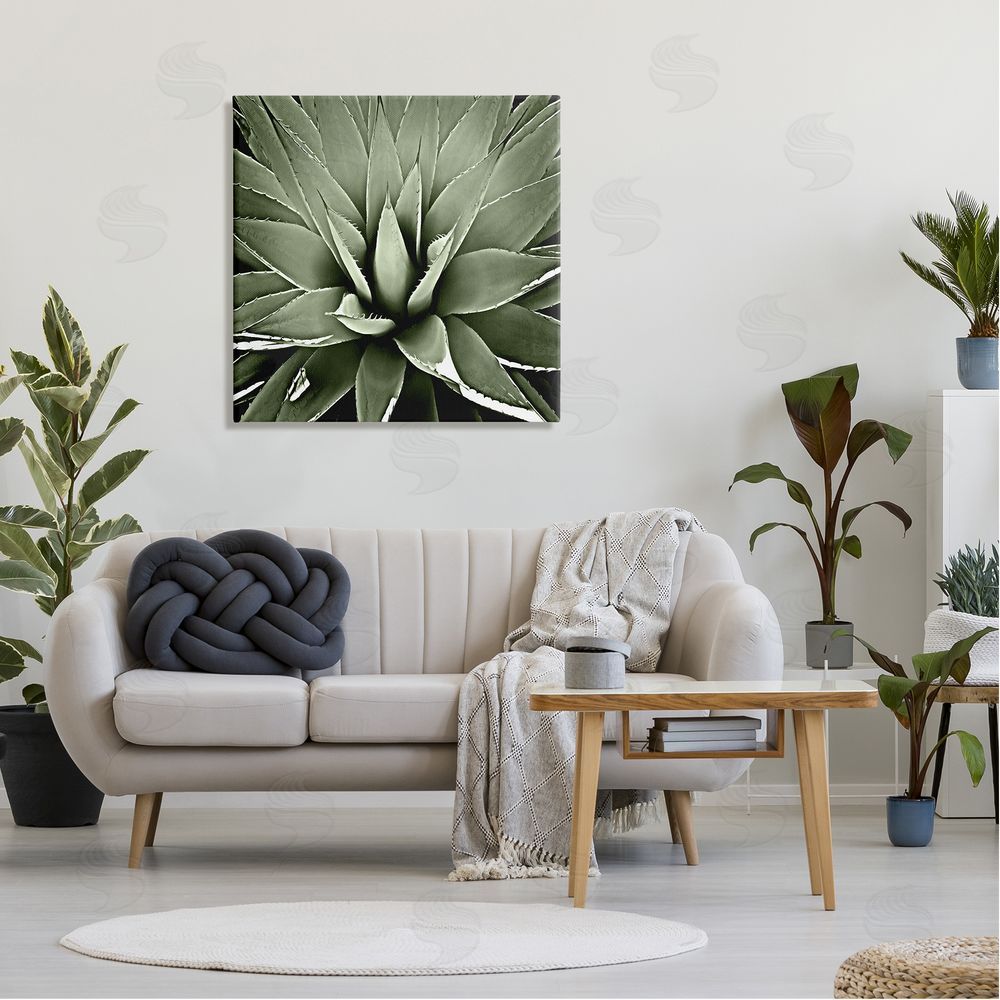 Lindsay Benson Succulent Plant Lush Leaves Canvas Wall Art in Room