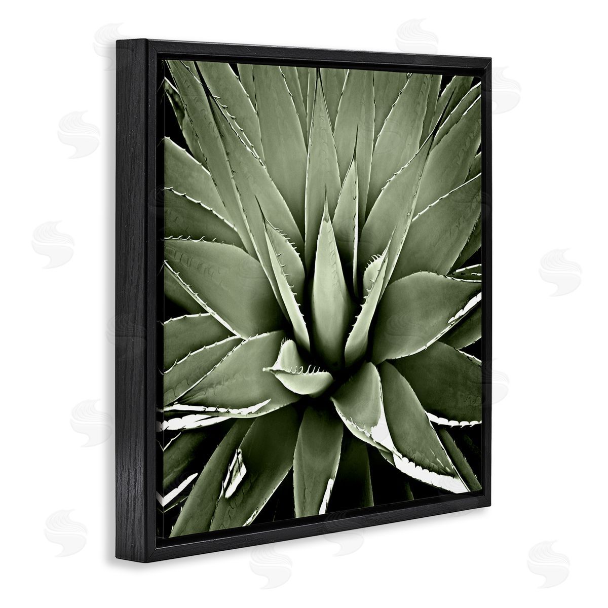 Lindsay Benson Succulent Plant Lush Leaves Black Floating Frame Canvas Wall Art Print