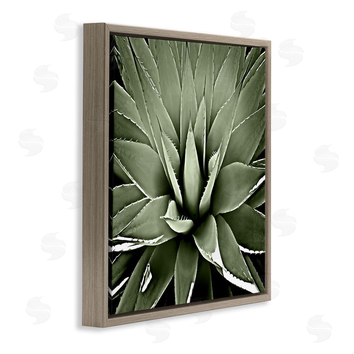 Lindsay Benson Succulent Plant Lush Leaves Brown Floating Frame Canvas Wall Art Print