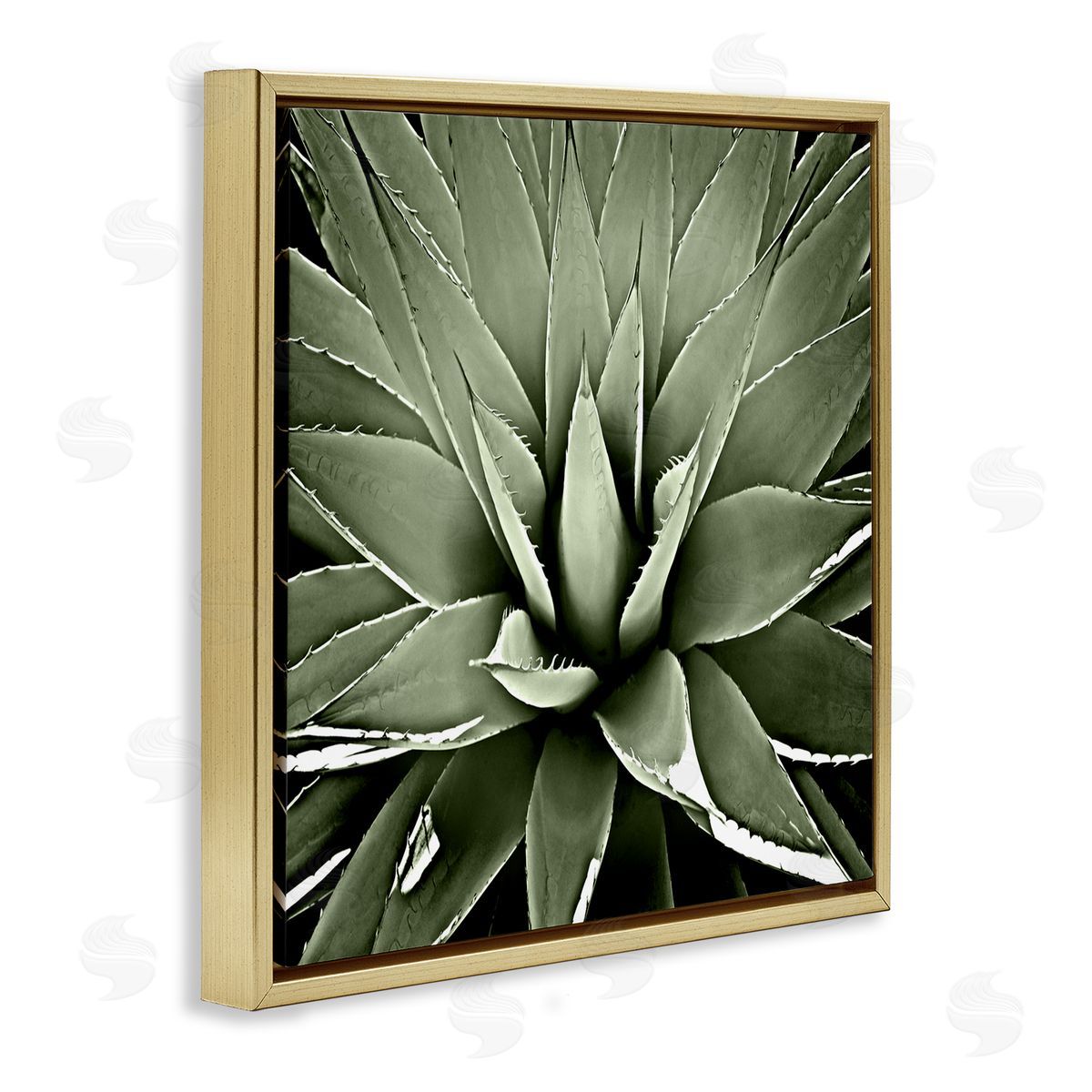 Lindsay Benson Succulent Plant Lush Leaves Gold Floating Frame Canvas Wall Art Print