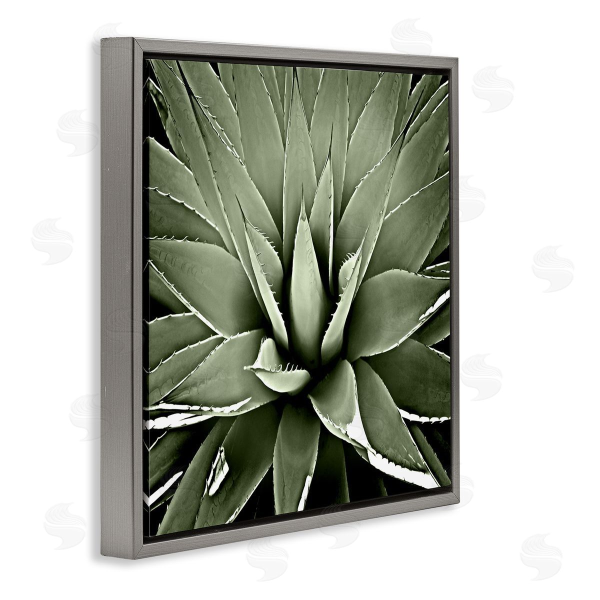 Lindsay Benson Succulent Plant Lush Leaves Gray Floating Frame Canvas Wall Art Print