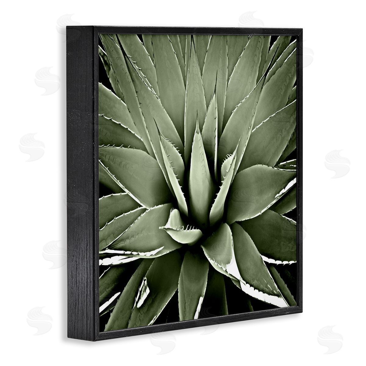 Lindsay Benson Succulent Plant Lush Leaves Black Framed Glicee Wall Art Print