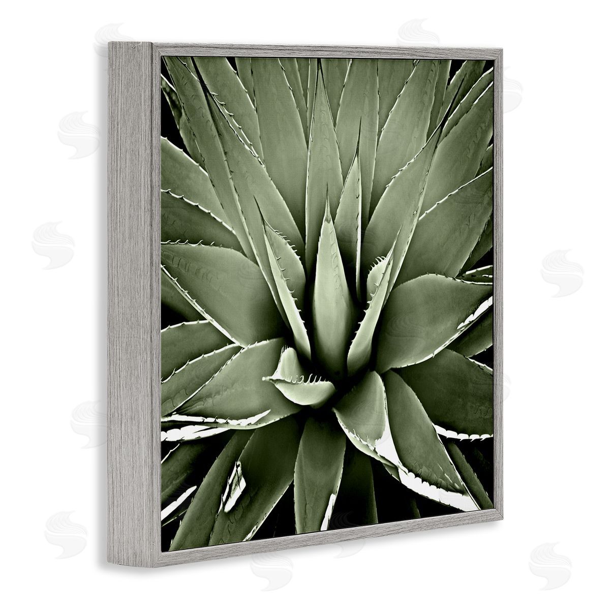 Lindsay Benson Succulent Plant Lush Leaves Gray Framed Glicee Wall Art Print