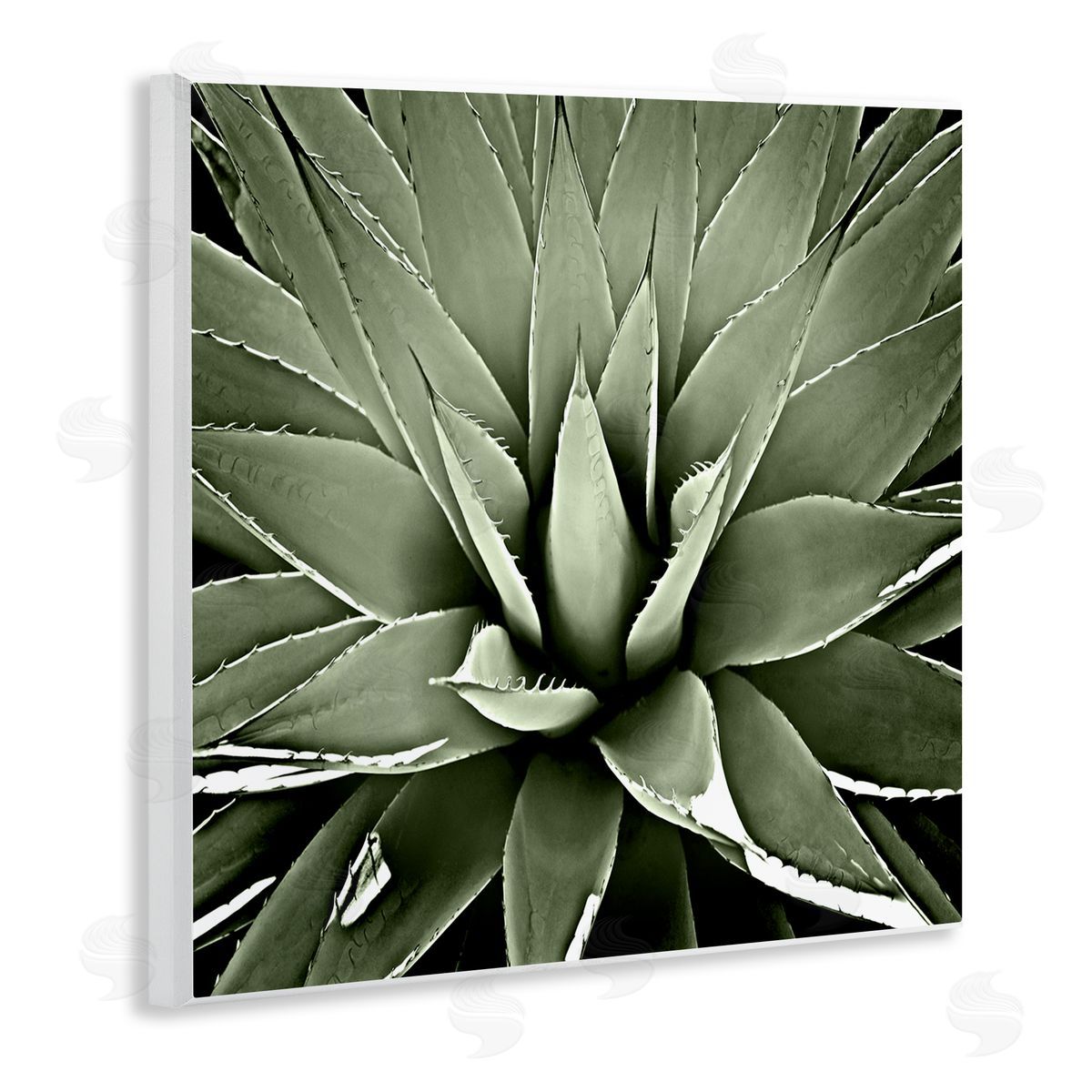 Lindsay Benson Succulent Plant Lush Leaves Wooden Wall Plaque Art Print