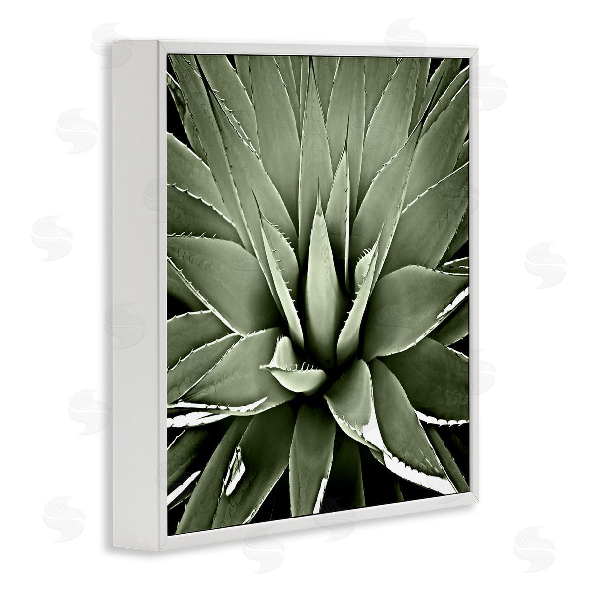 Lindsay Benson Succulent Plant Lush Leaves White Framed Glicee Wall Art Print