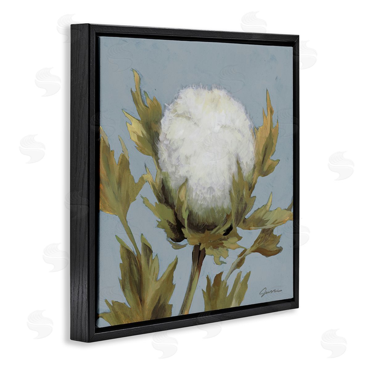 Liz Jardine Cotton Flower Blooming Nature Black Floating Frame Canvas Wall Art Print