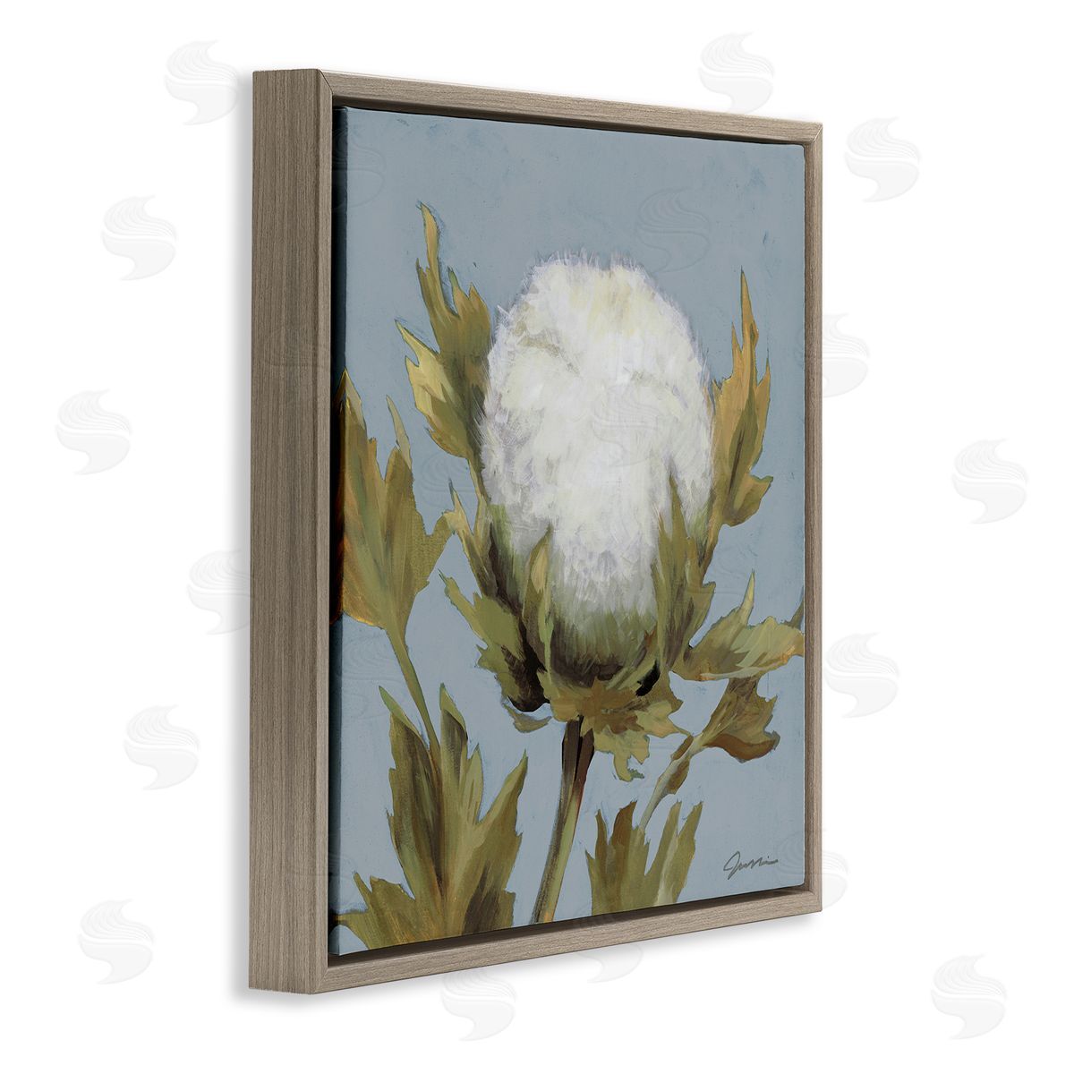 Liz Jardine Cotton Flower Blooming Nature Brown Floating Frame Canvas Wall Art Print