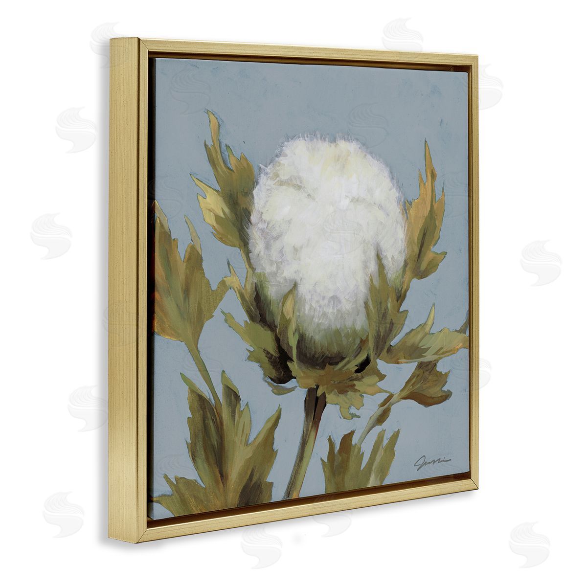 Liz Jardine Cotton Flower Blooming Nature Gold Floating Frame Canvas Wall Art Print