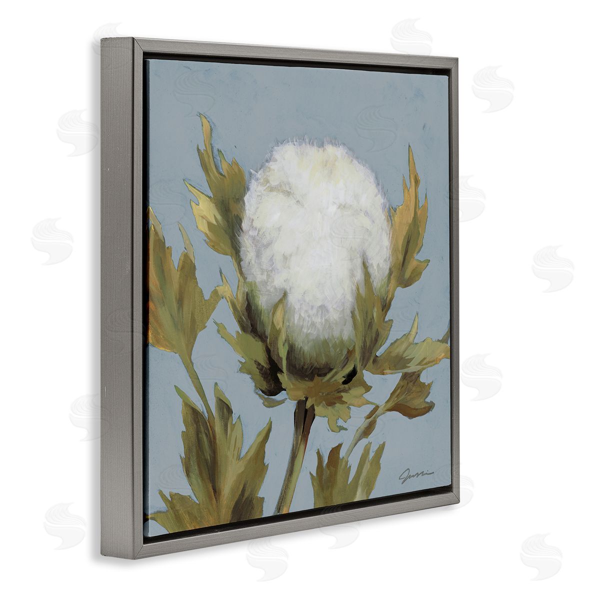 Liz Jardine Cotton Flower Blooming Nature Gray Floating Frame Canvas Wall Art Print