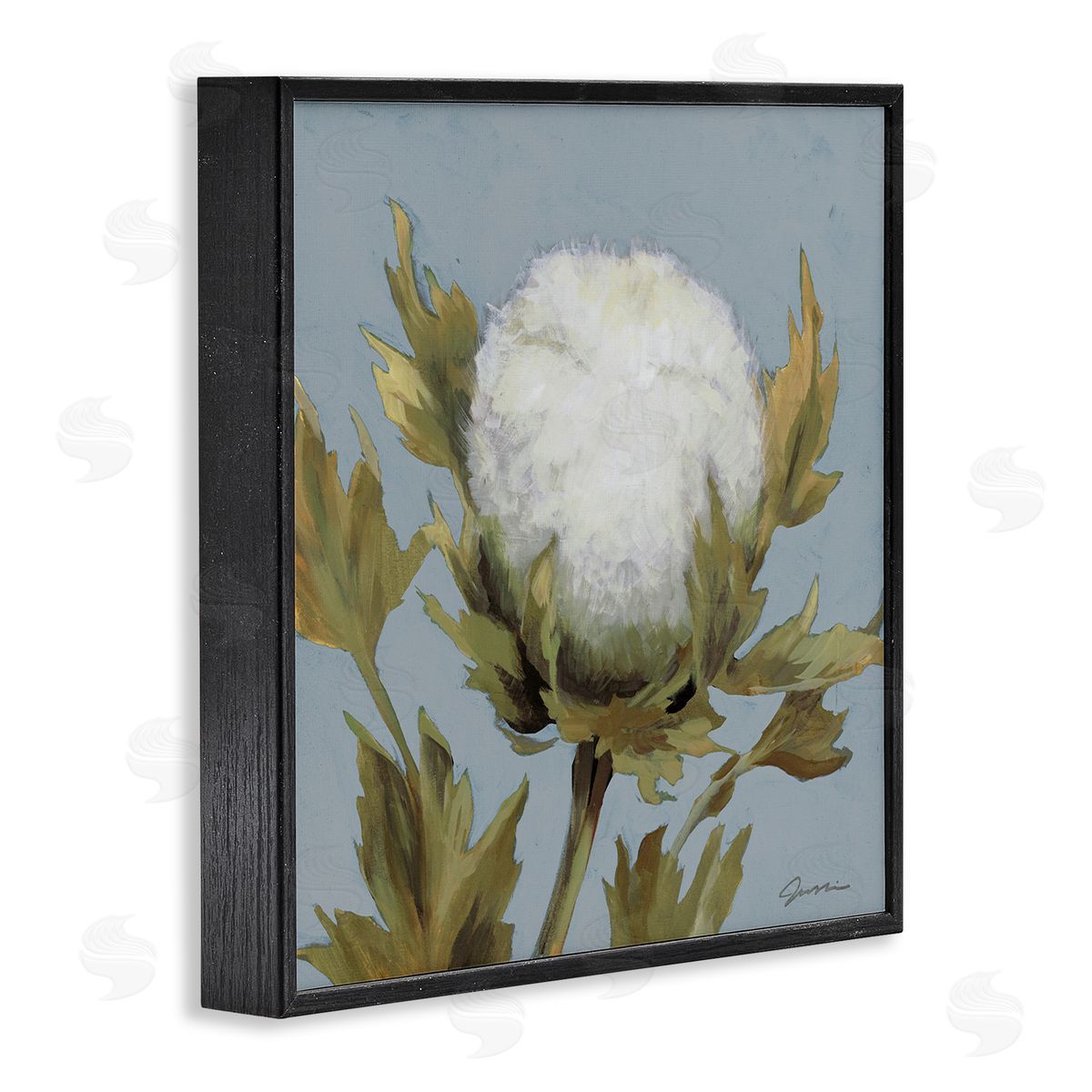Liz Jardine Cotton Flower Blooming Nature Black Framed Glicee Wall Art Print