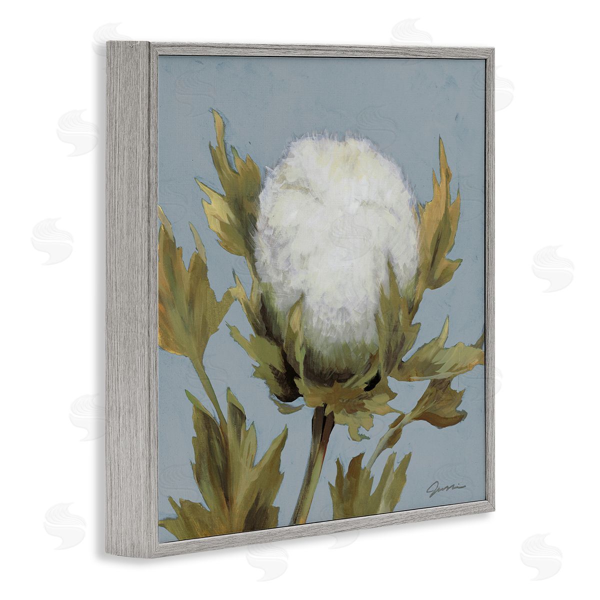 Liz Jardine Cotton Flower Blooming Nature Gray Framed Glicee Wall Art Print