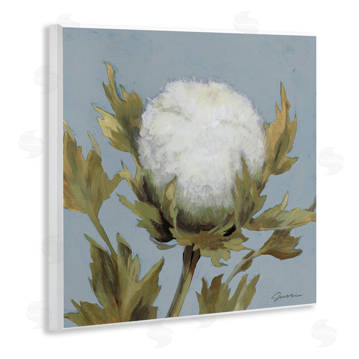 Liz Jardine Cotton Flower Blooming Nature Wooden Wall Plaque Art Print