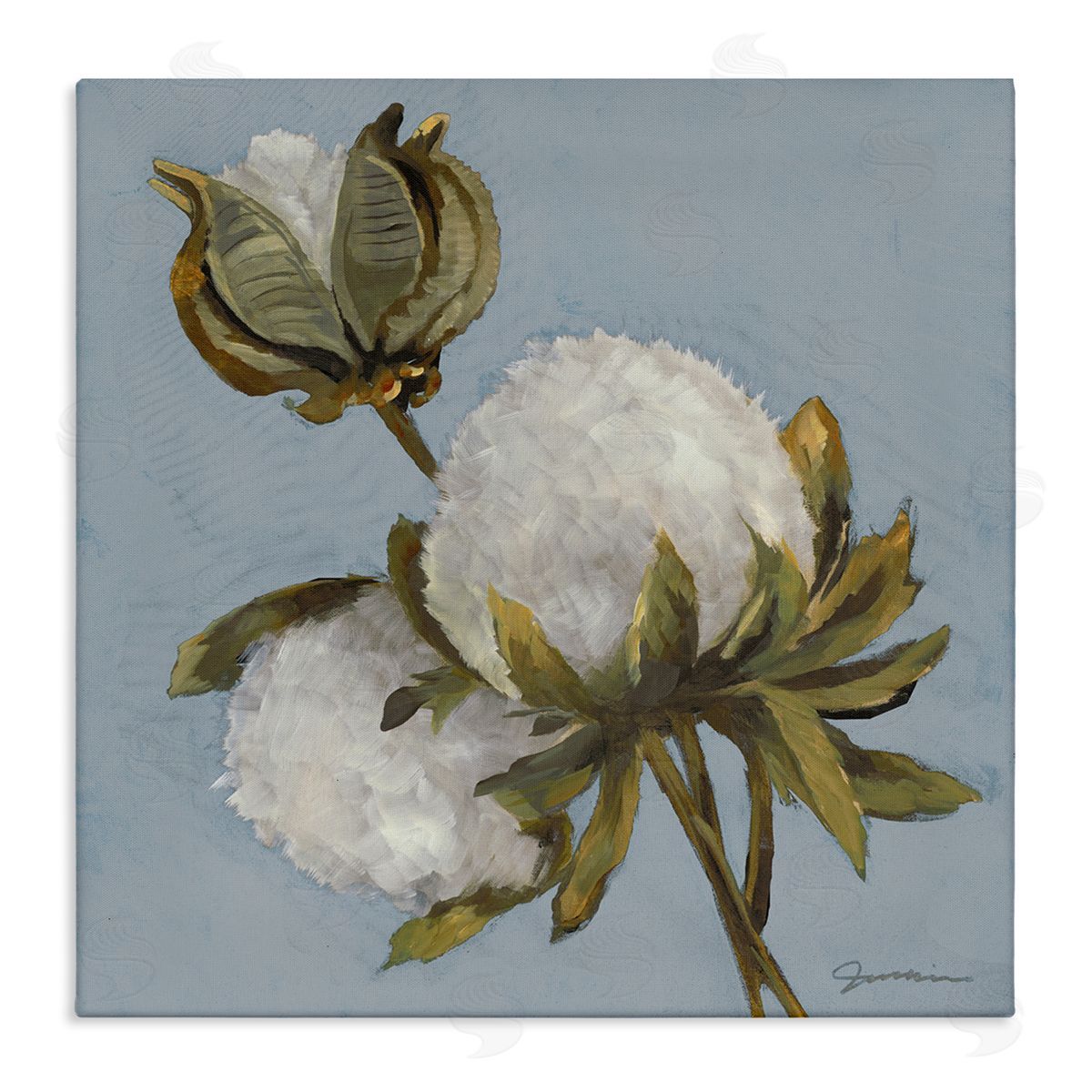 Liz Jardine Cotton Flower Blooms Painting Stretched Canvas Wall Art Print