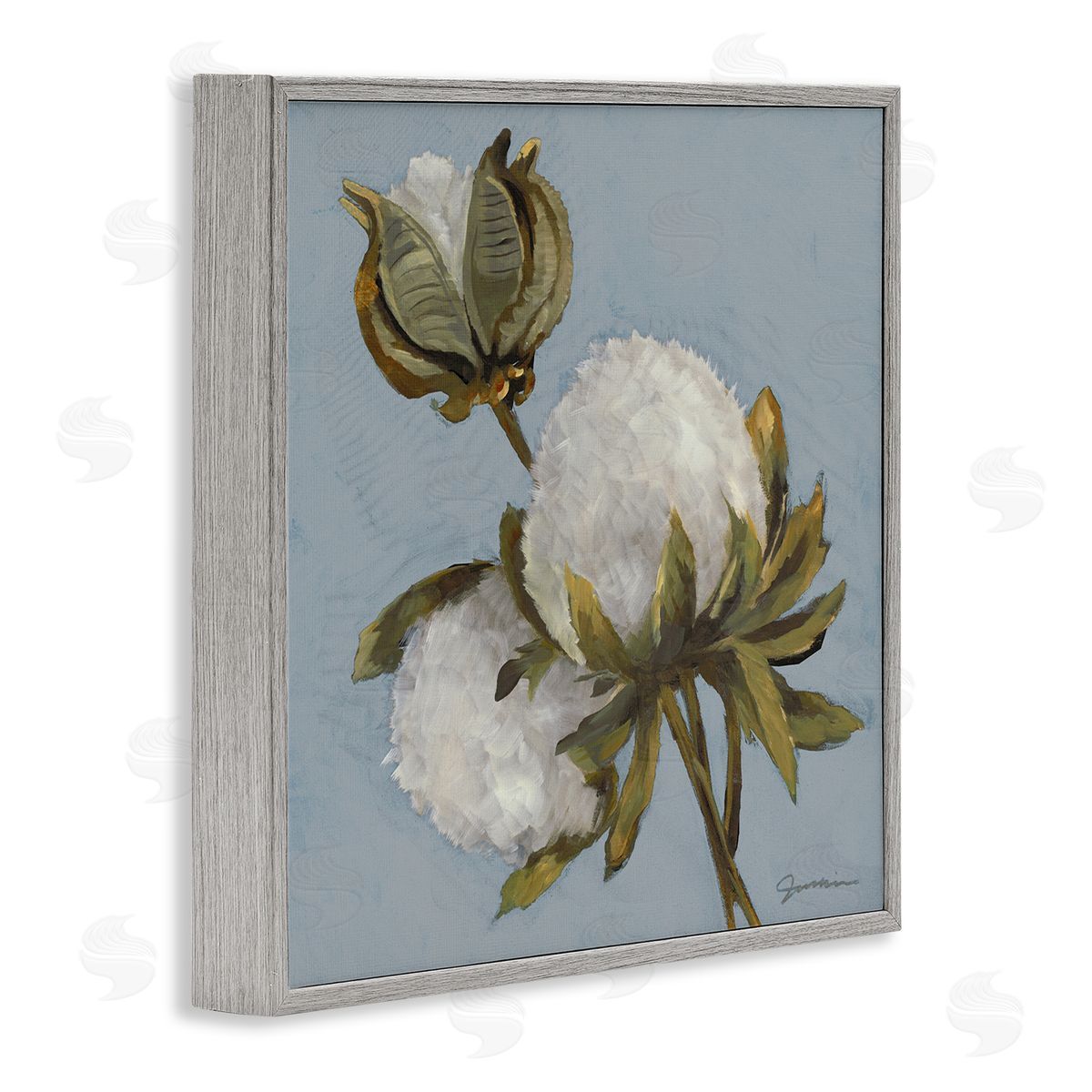 Liz Jardine Cotton Flower Blooms Painting Gray Framed Glicee Wall Art Print