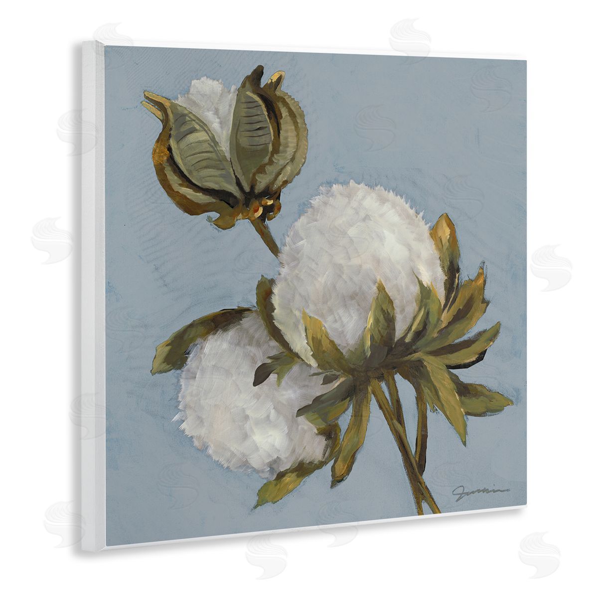 Liz Jardine Cotton Flower Blooms Painting Wooden Wall Plaque Art Print