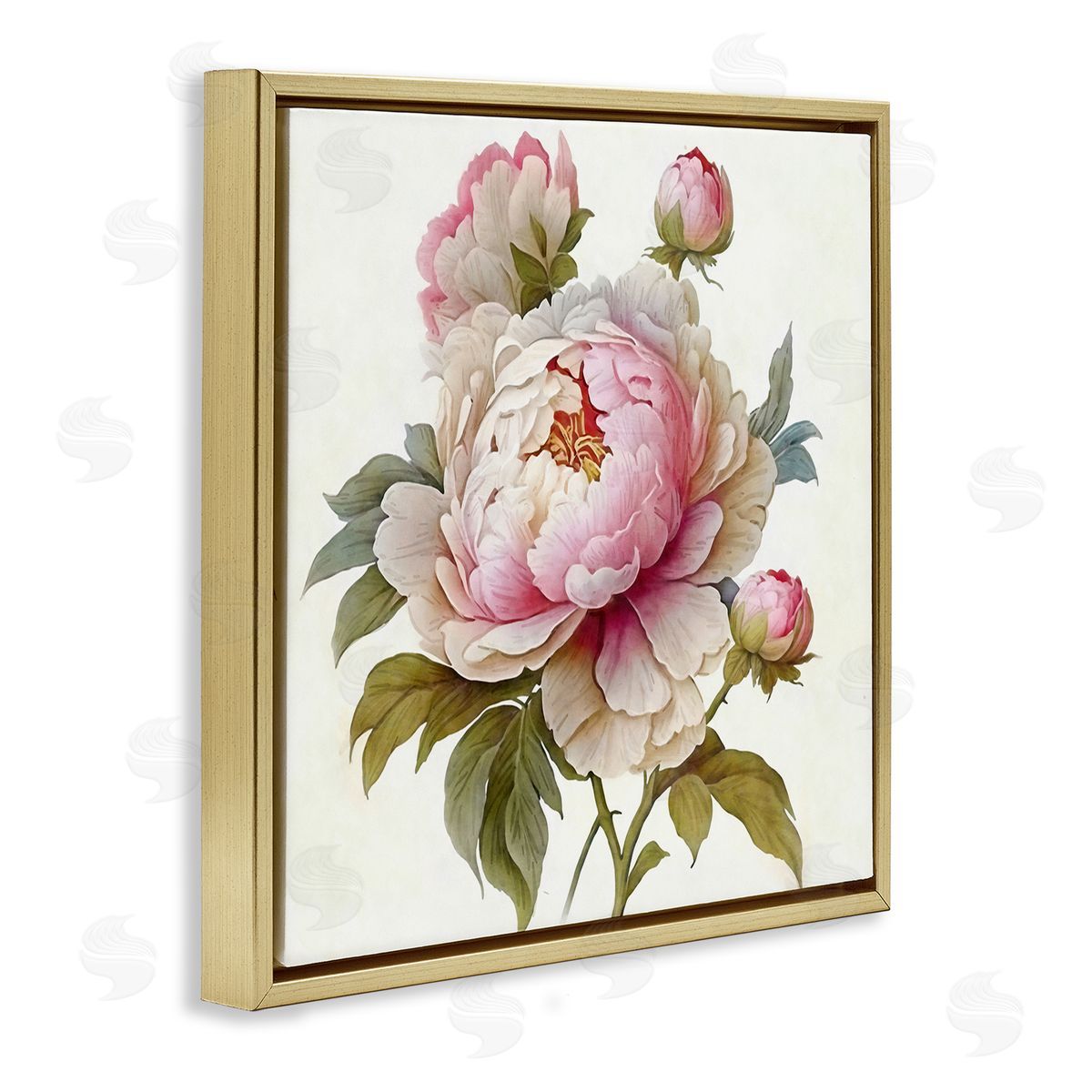 Ziwei Li Detailed Pink Peony Flower Buds Gold Floating Frame Canvas Wall Art Print
