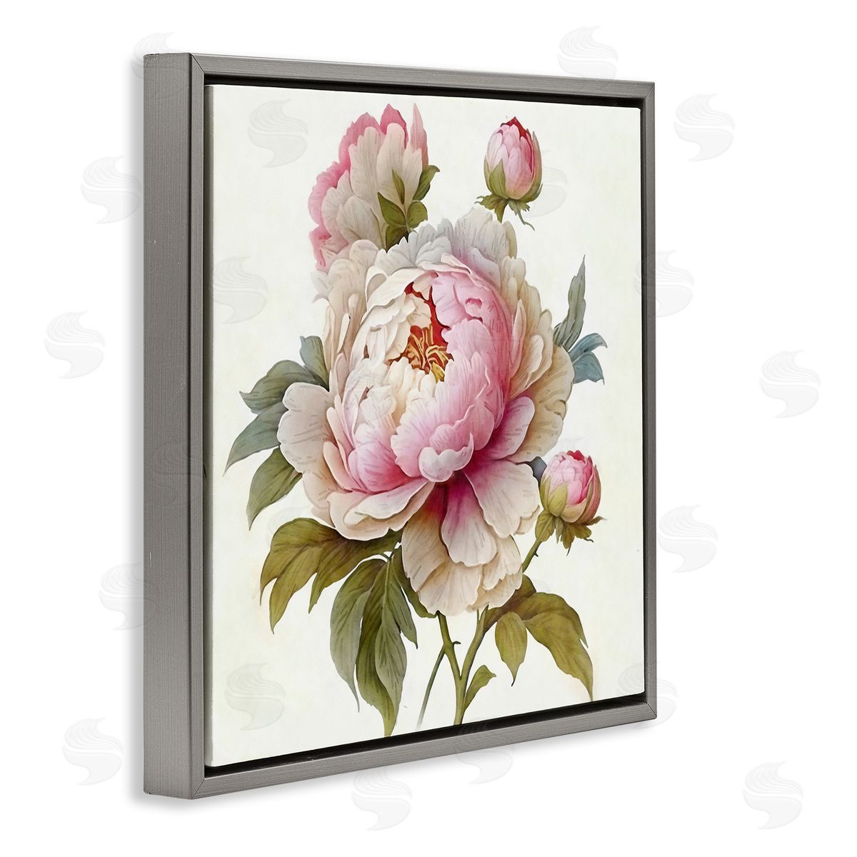 Ziwei Li Detailed Pink Peony Flower Buds Gray Floating Frame Canvas Wall Art Print
