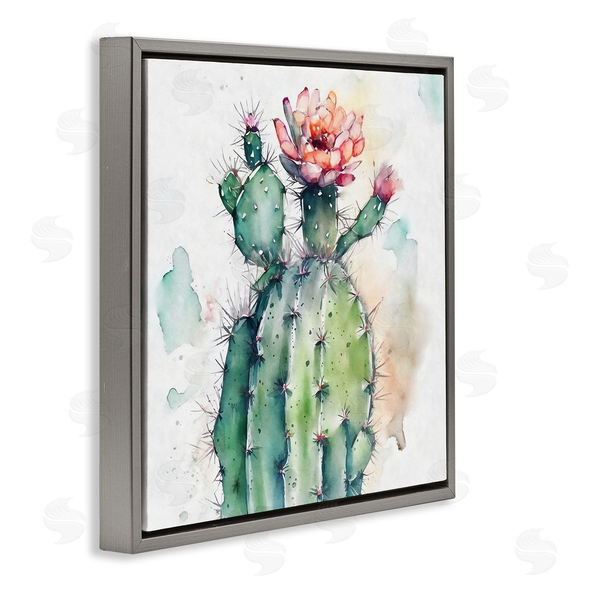 Ziwei Li Watercolor Cactus Desert Nature Gray Floating Frame Canvas Wall Art Print