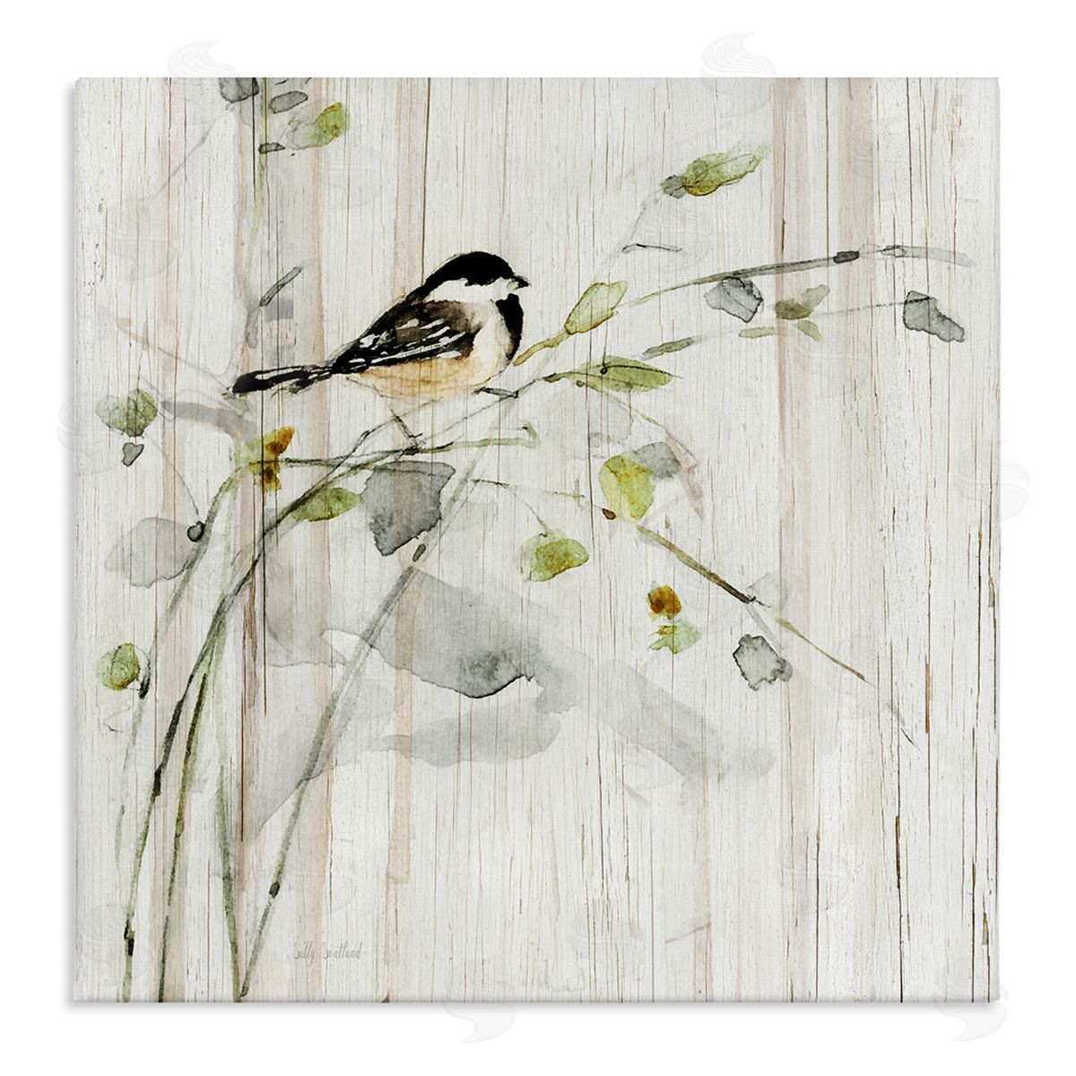 Danita Delimont Bird Perched Birch Pattern Stretched Canvas Wall Art Print