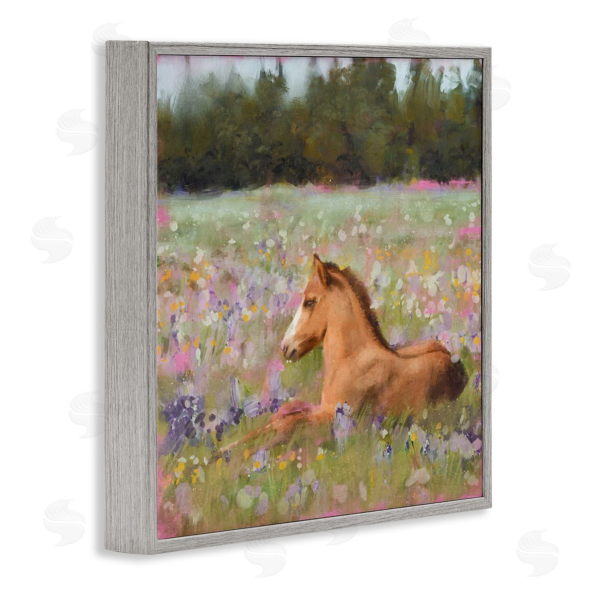 Foal Horse Lounging Flower Meadow Grey Frame Print Wall Art, Home Decor by Nina Blue
